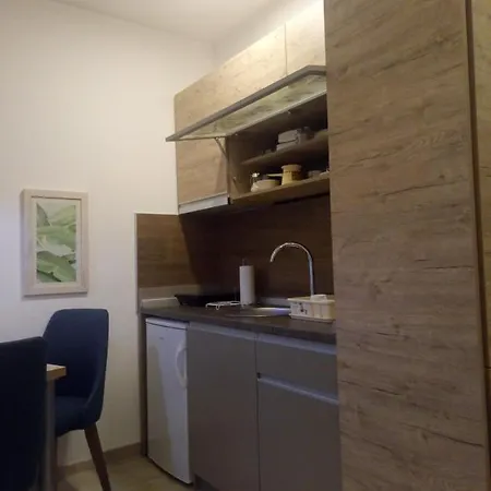 Silja S45 Milmari Daire *